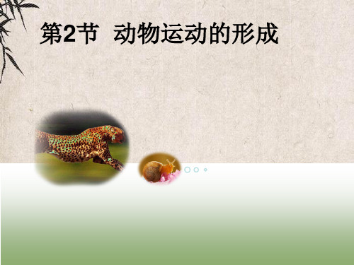 山城区七中八年级生物上册15.2动物运动的形成课件1新版北师大版4