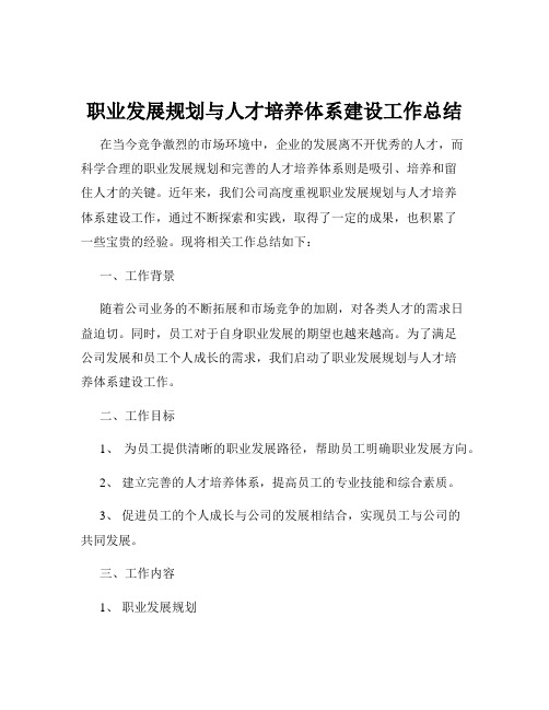 职业发展规划与人才培养体系建设工作总结