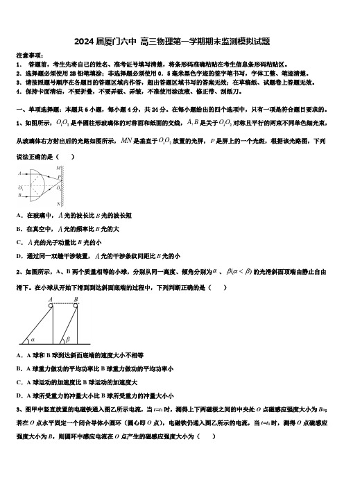 2024届厦门六中 高三物理第一学期期末监测模拟试题含解析