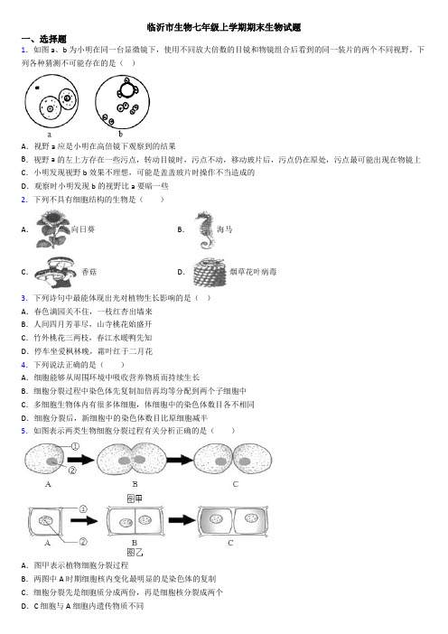 临沂市生物七年级上学期期末生物试题