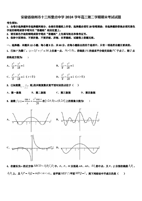 安徽省宿州市十三所重点中学2024学年高三第二学期期末考试试题