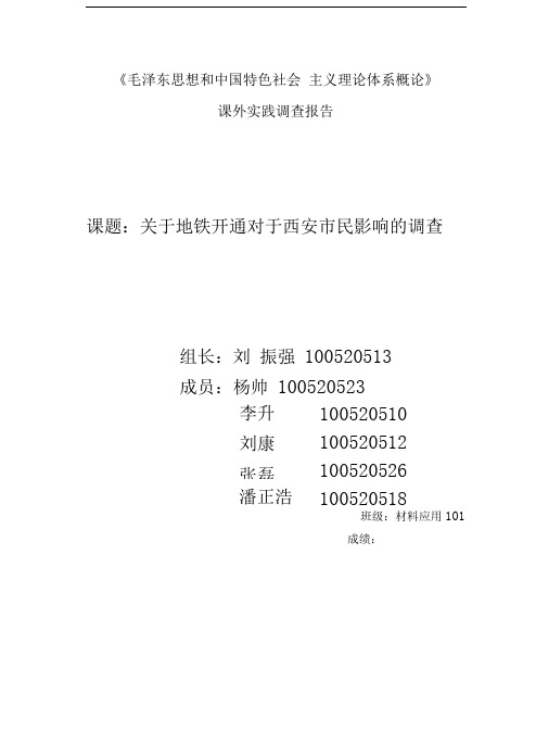 地铁调查报告总结