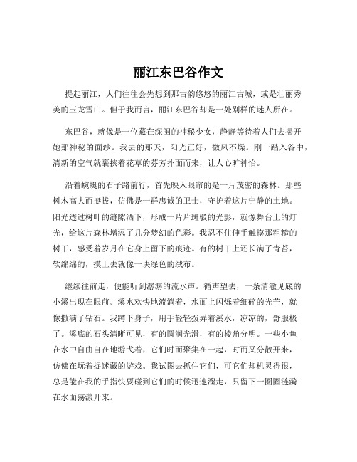 丽江东巴谷作文