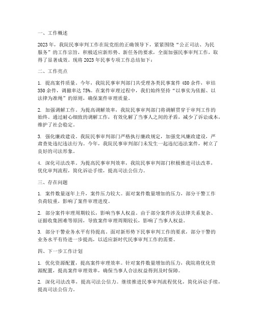 法院民事专项工作总结报告