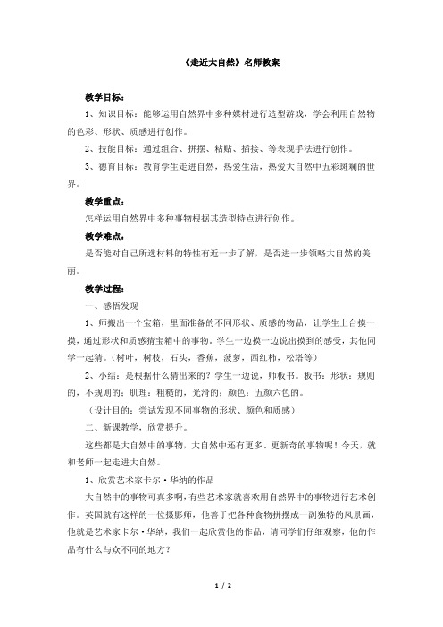 人教版小学一年级美术下册《走近大自然》名师教案