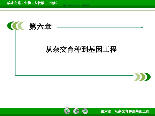 基因工程和其应用专业知识讲解