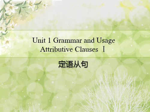 牛津译林版Module 1 Unit 1 The Atrributive Clause 语法课件定语从句