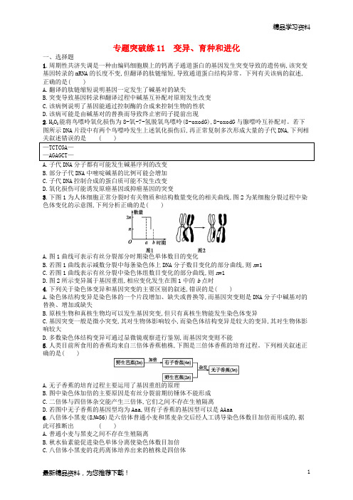 (新人教版)2019高考生物二轮复习 专题四 遗传学 专题突破练11 变异、育种和进化【重点推荐】
