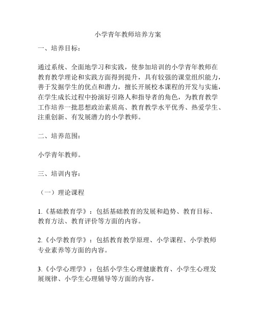 小学青年教师培养方案