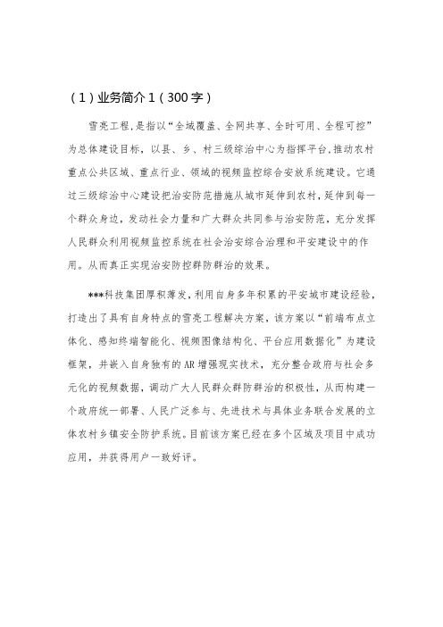 【文字】雪亮工程整体解决方案