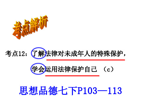 法律对未成年人的特殊保护(考点12)(复习课件)