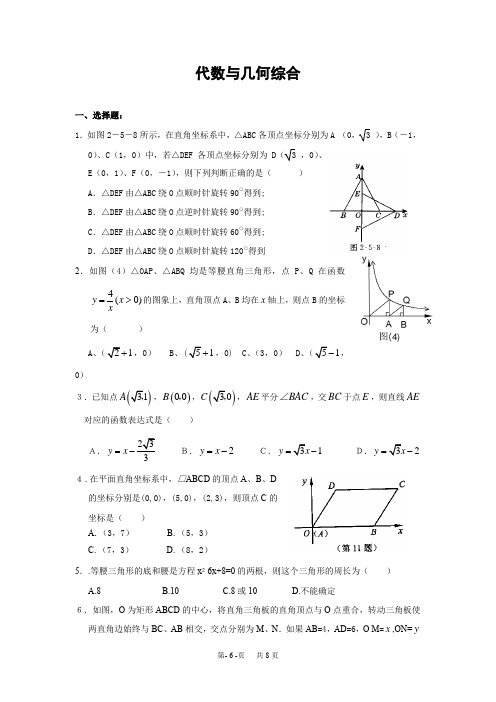 中考数学复习专题 代数与几何综合(含答案)