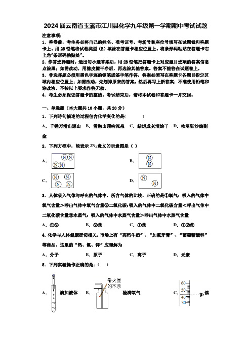 2024届云南省玉溪市江川县化学九年级第一学期期中考试试题含解析