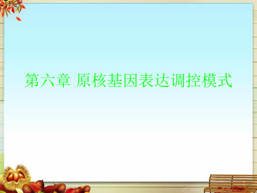 第六章 原核基因表达调控模式