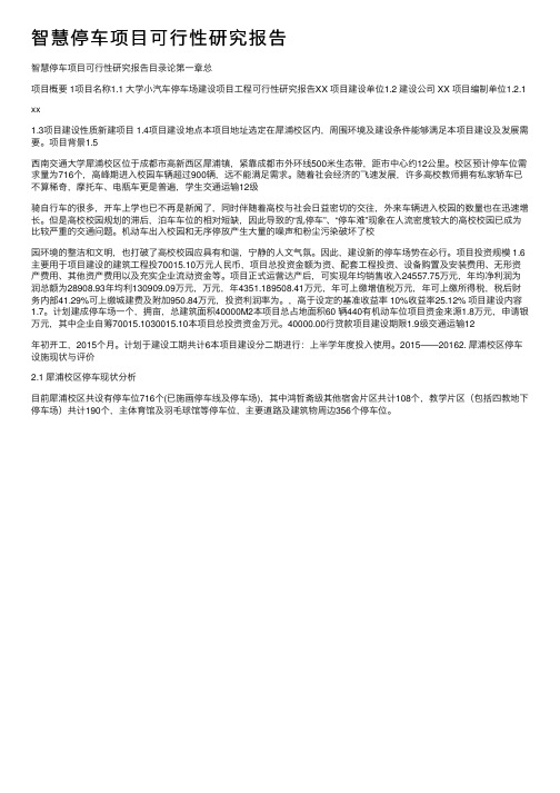 智慧停车项目可行性研究报告