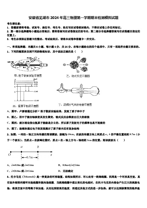 安徽省芜湖市2024年高三物理第一学期期末检测模拟试题含解析