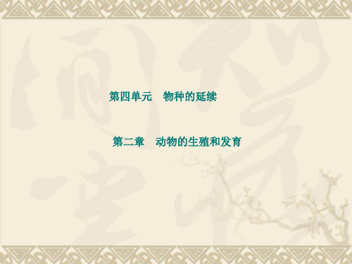 2018年潍坊市中考生物一轮复习课件 八年级上第4单元第2章 动物的生殖和发育(共19张PPT)