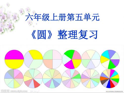 人教版六年级数学上册圆整理复习公开课件