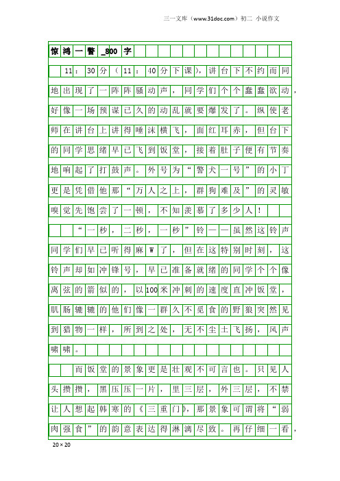 初二小说作文：惊鸿一瞥_800字