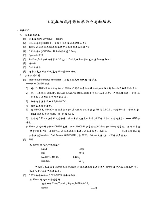 小鼠胚胎成纤维细胞的分离和培养