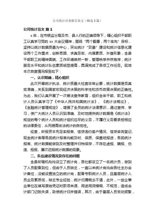 公司统计自查报告范文（精选3篇）