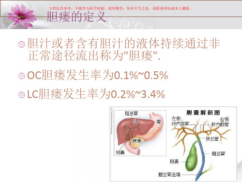 胆瘘的观察及护理课件