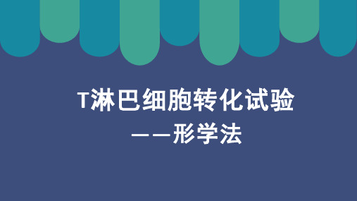 免疫学实验设计T淋巴细胞转化试验——形学法