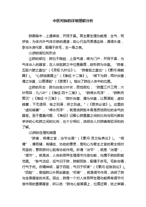 中医对肺的详细理解分析