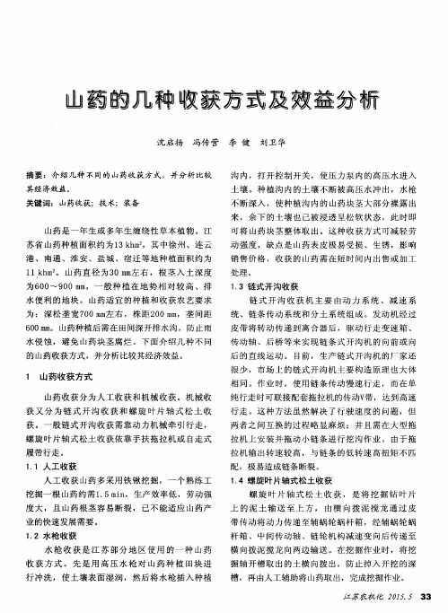 山药的几种收获方式及效益分析