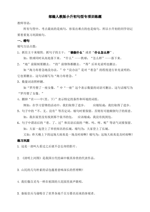 部编人教小升初句型专项训练题