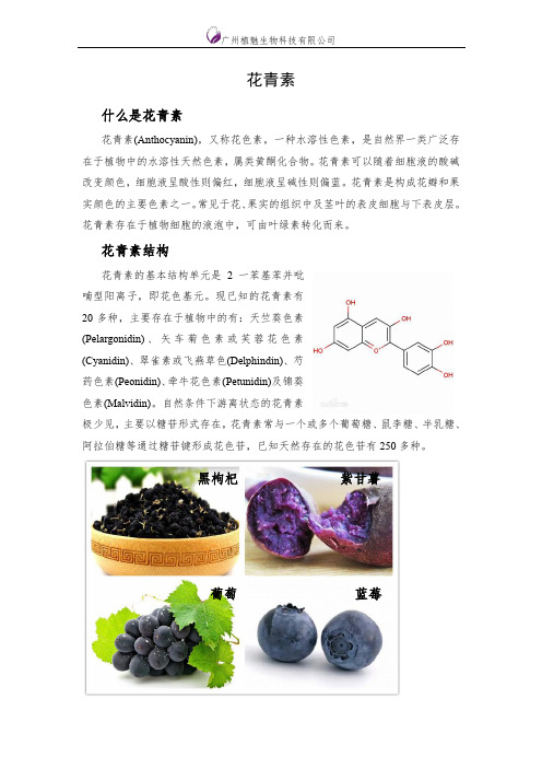 花青素详细资料