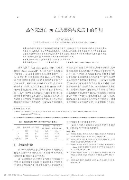 热休克蛋白70在抗感染与免疫中的作用