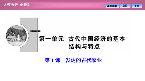 高中历史人教课标版必修2古代中国经济的基本结构与特点 课件PPT(1)