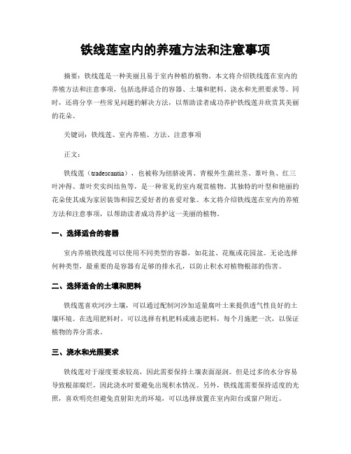 铁线莲室内的养殖方法和注意事项