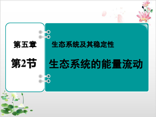 人教版生物必修三生态系统的能量流动共-ppt精品课件