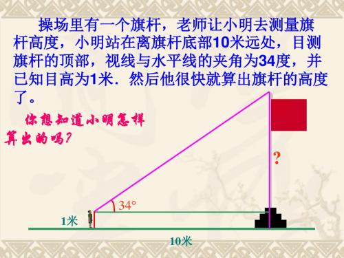 锐角三角函数(1)