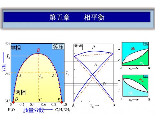 第五章____相平衡5.2