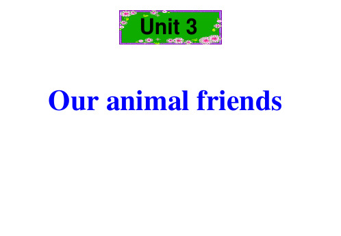 牛津深圳版英语七年级下册Unit 3  Our animal friends. 复习课件(短语 句