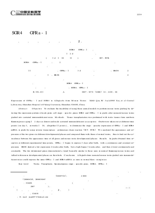 SGR4和GFRa-1基因在小鼠睾丸移植物中的表达