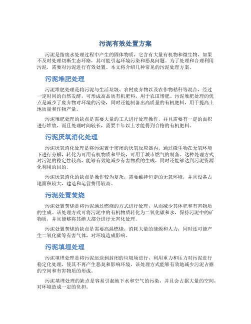 污泥有效处置方案