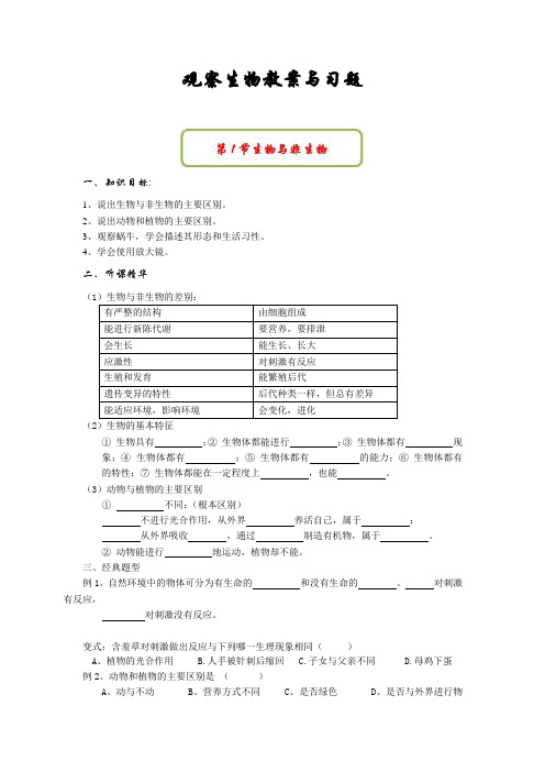 观察生物教案与习题