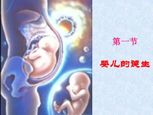 八年级生物上：3.1婴儿的诞生课件济南版