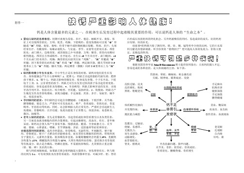 各种钙剂对比表