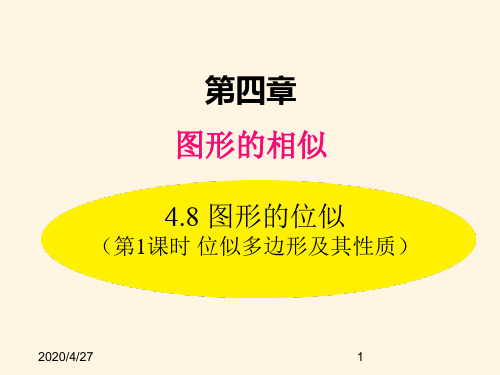 最新北师大版九年级数学上册精品课件4.8 第1课时 位似多边形及其性质