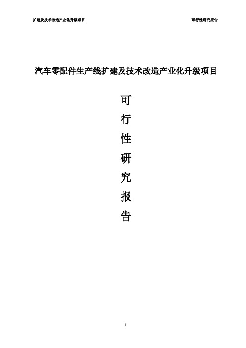 汽车零配件生产线扩建及技术改造产业化升级项目可行性研究报告