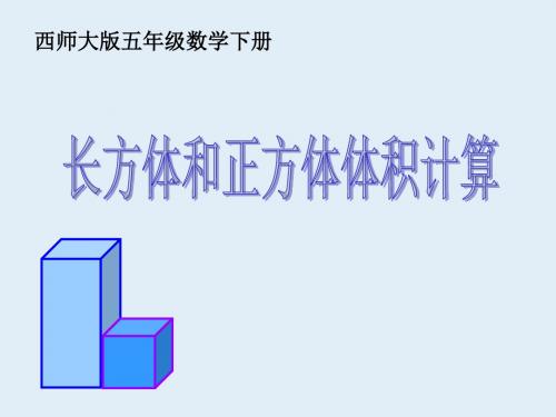 西师大小学数学五下《3.4长方体和正方体的体积计算》PPT课件 (5)