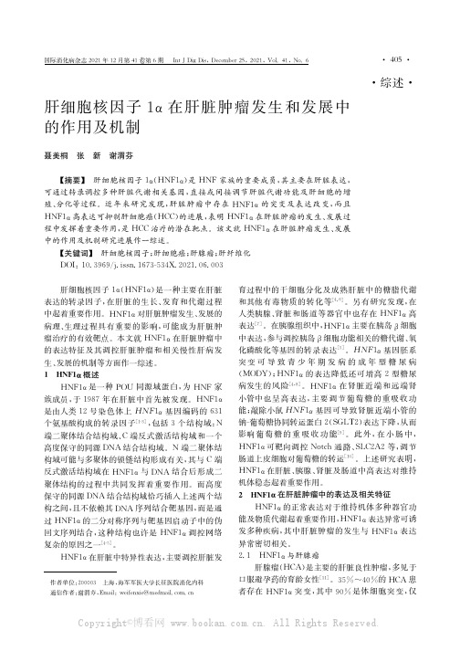 肝细胞核因子1α在肝脏肿瘤发生和发展中的作用及机制