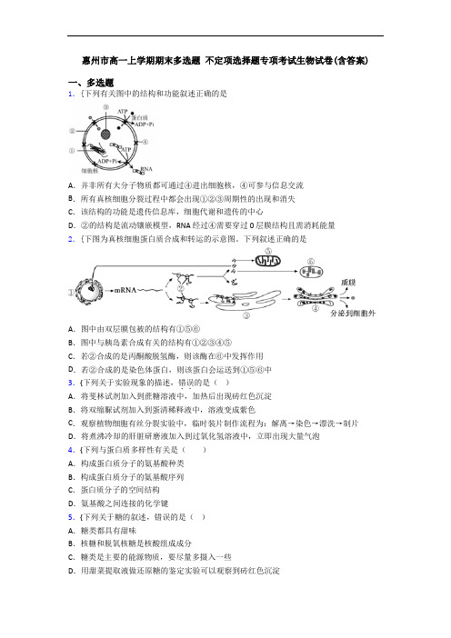 惠州市高一上学期期末多选题 不定项选择题专项考试生物试卷(含答案)