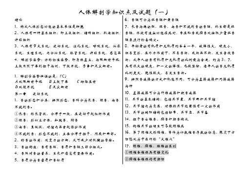 人体解剖学试题及知识点--运动系统