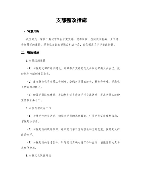 支部整改措施